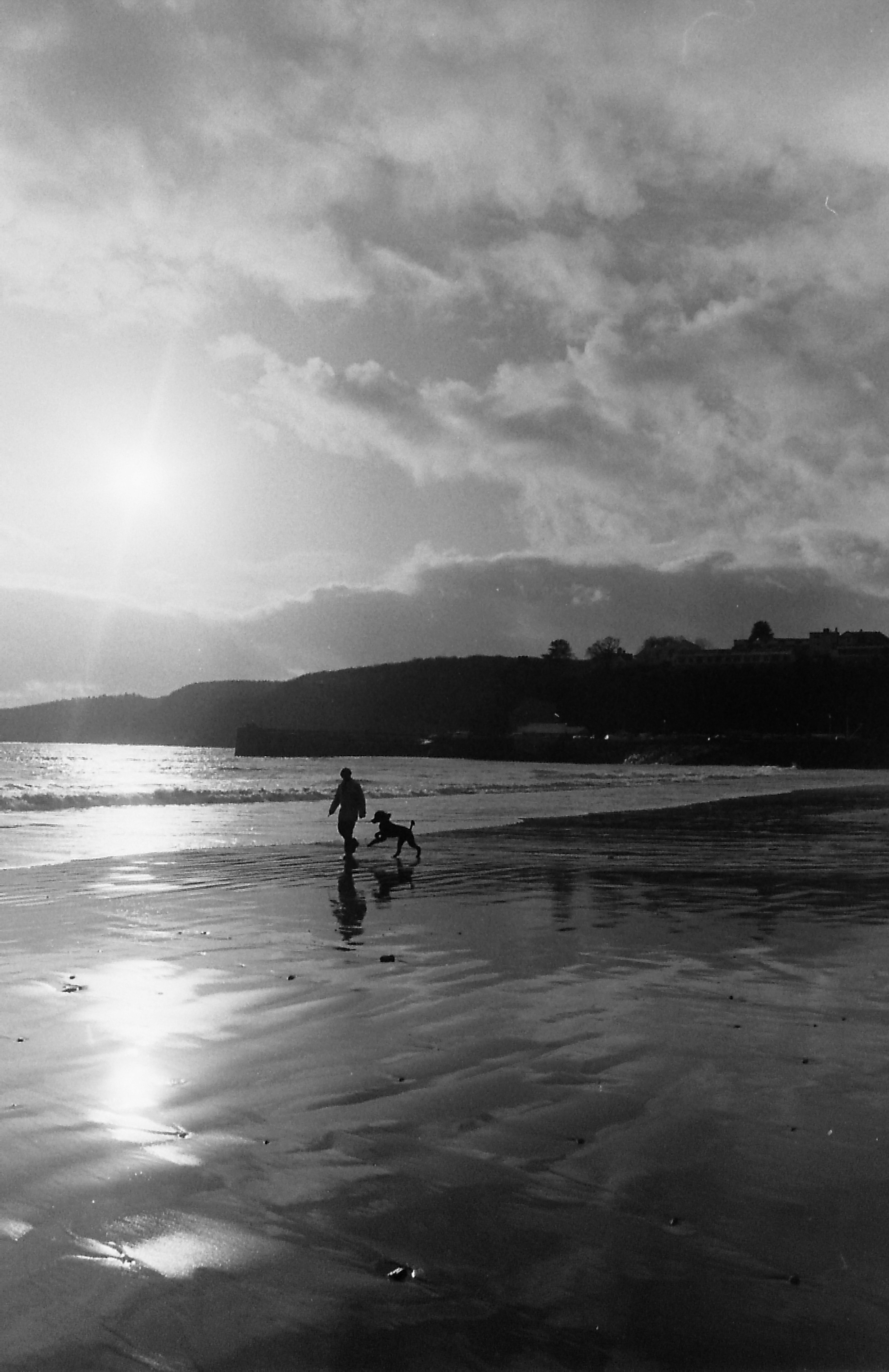 E0000913_Dog on the beach -mod.jpg   /guest/guest/Images/Saundersfoot/E0000913_Dog on the beach -mod.jpg
